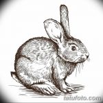 фото Эскизы тату кролик от 09.01.2018 №069 - Sketches of a rabbit tattoo - tatufoto.com