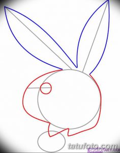фото Эскизы тату кролик от 09.01.2018 №071 - Sketches of a rabbit tattoo - tatufoto.com