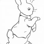 фото Эскизы тату кролик от 09.01.2018 №081 - Sketches of a rabbit tattoo - tatufoto.com