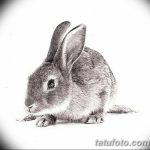 фото Эскизы тату кролик от 09.01.2018 №084 - Sketches of a rabbit tattoo - tatufoto.com