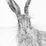 фото Эскизы тату кролик от 09.01.2018 №088 - Sketches of a rabbit tattoo - tatufoto.com