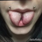 Раздвоенный язык у человека примета. Смотреть фото Раздвоенный язык у человека примета. Смотреть картинку Раздвоенный язык у человека примета. Картинка про Раздвоенный язык у человека примета. Фото Раздвоенный язык у человека примета