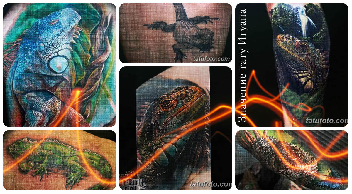Значение тату Игуана - коллекция фото готовых рисунков татуировки