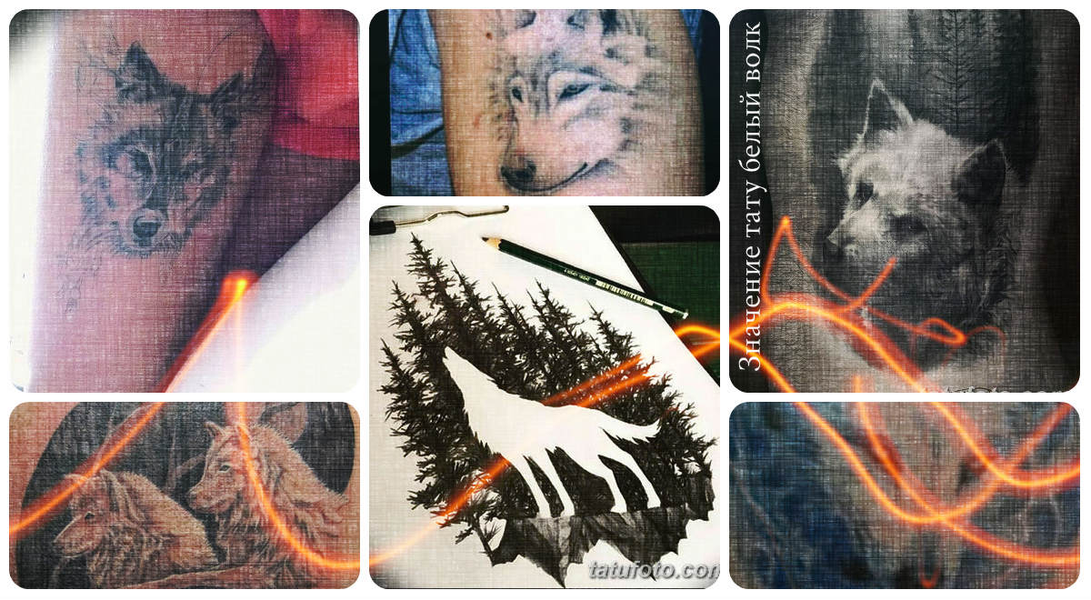 Значение тату белый волк - коллекция готовых рисунков татуировки на фото