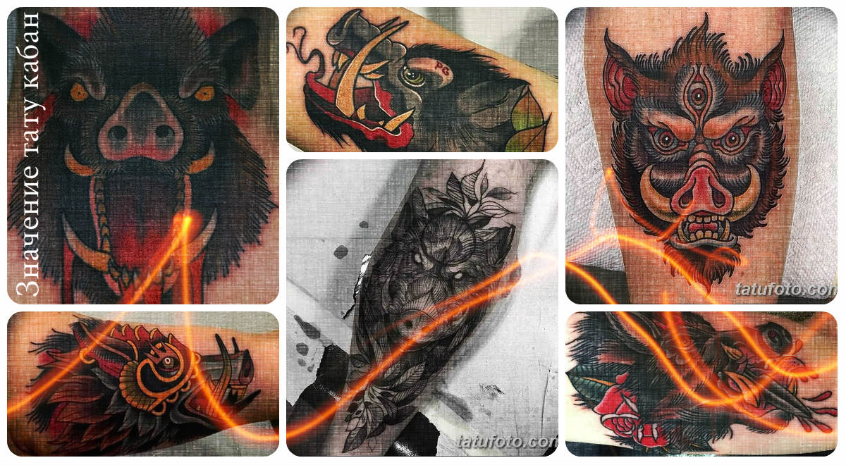 Значение тату кабан - коллекция интересных готовых рисунков татуировки на фото