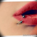 фото Виды пирсинга губы от 02.02.2018 №002 - Types of lip piercing - tatufoto.com