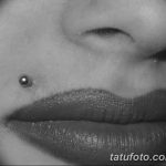 фото Виды пирсинга губы от 02.02.2018 №005 - Types of lip piercing - tatufoto.com