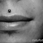 фото Виды пирсинга губы от 02.02.2018 №007 - Types of lip piercing - tatufoto.com