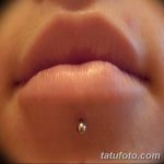 фото Виды пирсинга губы от 02.02.2018 №012 - Types of lip piercing - tatufoto.com