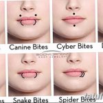 фото Виды пирсинга губы от 02.02.2018 №031 - Types of lip piercing - tatufoto.com