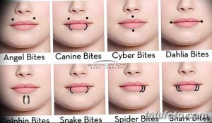 Фотография, демонстрирующая различные виды пирсинга губы: Angel Bites, Canine Bites, Cyber Bites, Dahlia Bites, Dolphin Bites, Snake Bites, Spider Bites, Shark Bites.