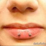 фото Виды пирсинга губы от 02.02.2018 №033 - Types of lip piercing - tatufoto.com
