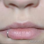 фото Виды пирсинга губы от 02.02.2018 №046 - Types of lip piercing - tatufoto.com