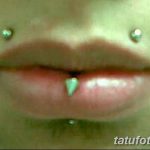фото Виды пирсинга губы от 02.02.2018 №047 - Types of lip piercing - tatufoto.com