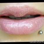 фото Виды пирсинга губы от 02.02.2018 №053 - Types of lip piercing - tatufoto.com