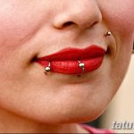 фото Виды пирсинга губы от 02.02.2018 №057 - Types of lip piercing - tatufoto.com