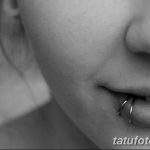 фото Виды пирсинга губы от 02.02.2018 №057 - Types of lip piercing - tatufoto.com 37н3453463