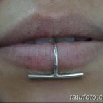 фото Виды пирсинга губы от 02.02.2018 №066 - Types of lip piercing - tatufoto.com