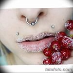 фото Виды пирсинга губы от 02.02.2018 №080 - Types of lip piercing - tatufoto.com