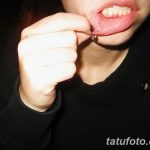 фото Виды пирсинга губы от 02.02.2018 №083 - Types of lip piercing - tatufoto.com