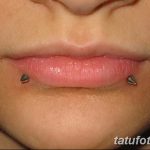 фото Виды пирсинга губы от 02.02.2018 №085 - Types of lip piercing - tatufoto.com