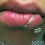 фото Виды пирсинга губы от 02.02.2018 №095 - Types of lip piercing - tatufoto.com