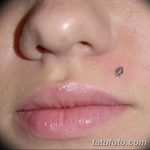фото Виды пирсинга губы от 02.02.2018 №097 - Types of lip piercing - tatufoto.com
