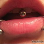 фото Виды пирсинга губы от 02.02.2018 №106 - Types of lip piercing - tatufoto.com