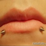 фото Виды пирсинга губы от 02.02.2018 №108 - Types of lip piercing - tatufoto.com