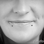 фото Виды пирсинга губы от 02.02.2018 №113 - Types of lip piercing - tatufoto.com