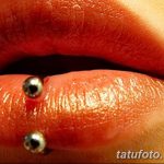 фото Виды пирсинга губы от 02.02.2018 №118 - Types of lip piercing - tatufoto.com