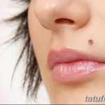 фото Виды пирсинга губы от 02.02.2018 №119 - Types of lip piercing - tatufoto.com