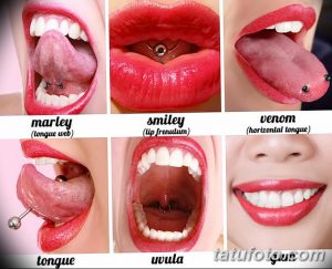 Коллаж из фотографий различных видов пирсинга языка: Marley, Smiley, Venom, Tongue, Uvula. Демонстрирует разнообразие техник и расположений пирсинга.