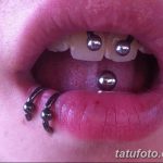 фото Виды пирсинга губы от 02.02.2018 №130 - Types of lip piercing - tatufoto.com