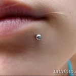 фото Виды пирсинга губы от 02.02.2018 №132 - Types of lip piercing - tatufoto.com