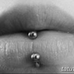 фото Виды пирсинга губы от 02.02.2018 №156 - Types of lip piercing - tatufoto.com