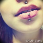 фото Виды пирсинга губы от 02.02.2018 №158 - Types of lip piercing - tatufoto.com