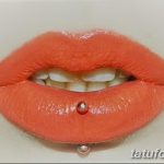 фото Виды пирсинга губы от 02.02.2018 №174 - Types of lip piercing - tatufoto.com