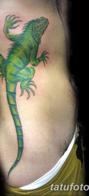 фото тату Игуана от 09.02.2018 №001 — Iguana tattoo — tatufoto.com
