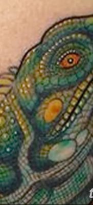 фото тату Игуана от 09.02.2018 №002 — Iguana tattoo — tatufoto.com