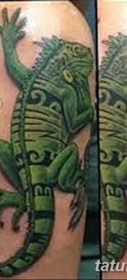 фото тату Игуана от 09.02.2018 №003 — Iguana tattoo — tatufoto.com