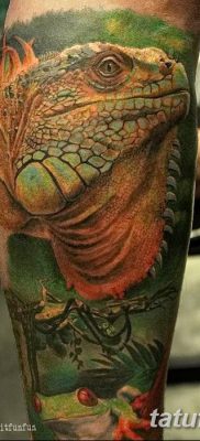 фото тату Игуана от 09.02.2018 №006 — Iguana tattoo — tatufoto.com