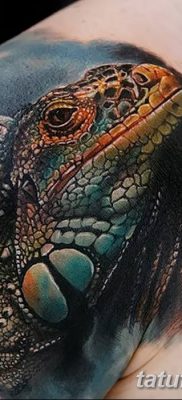 фото тату Игуана от 09.02.2018 №007 — Iguana tattoo — tatufoto.com
