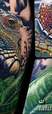 фото тату Игуана от 09.02.2018 №011 — Iguana tattoo — tatufoto.com