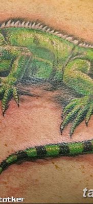 фото тату Игуана от 09.02.2018 №012 — Iguana tattoo — tatufoto.com