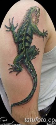 фото тату Игуана от 09.02.2018 №013 — Iguana tattoo — tatufoto.com