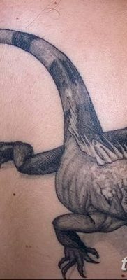 фото тату Игуана от 09.02.2018 №015 — Iguana tattoo — tatufoto.com