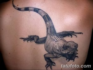 Фото черно-серой татуировки игуаны на лопатке. Детализированная прорисовка чешуи и текстуры кожи.