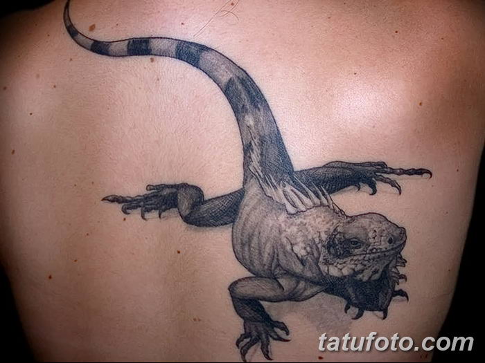 фото тату Игуана от 09.02.2018 №015 - Iguana tattoo - tatufoto.com