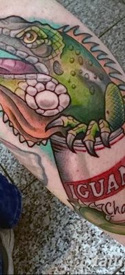 фото тату Игуана от 09.02.2018 №019 — Iguana tattoo — tatufoto.com
